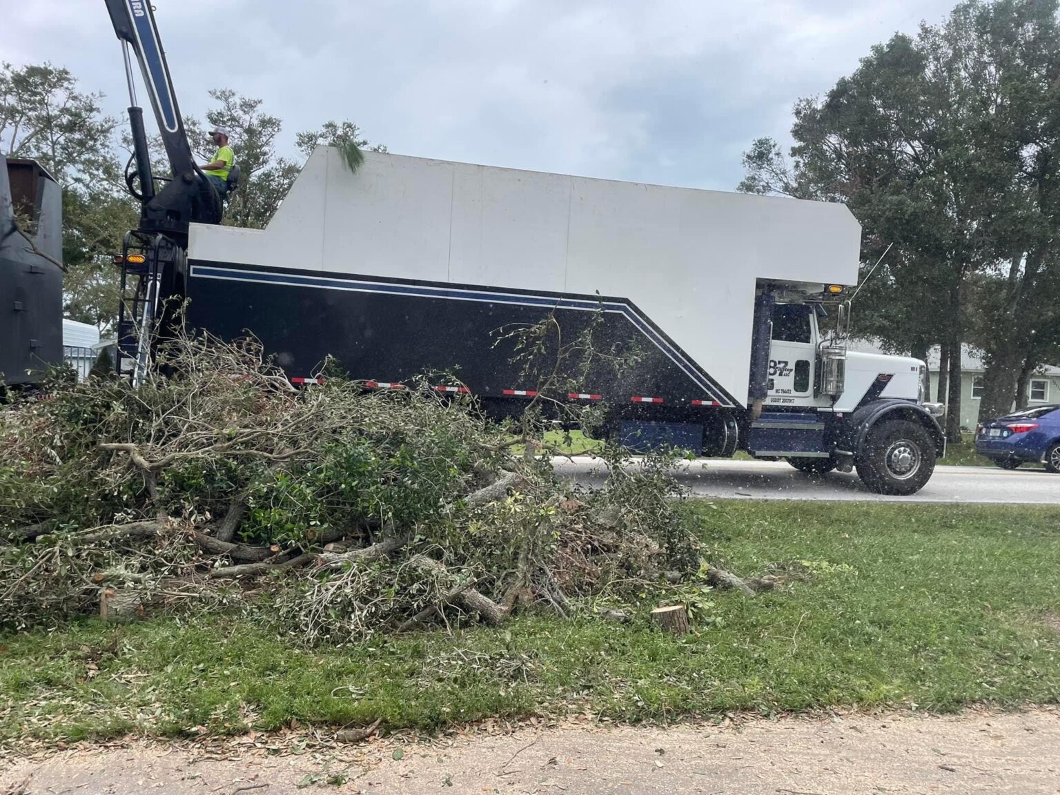 Floridian Tree Care Client Provided (1)