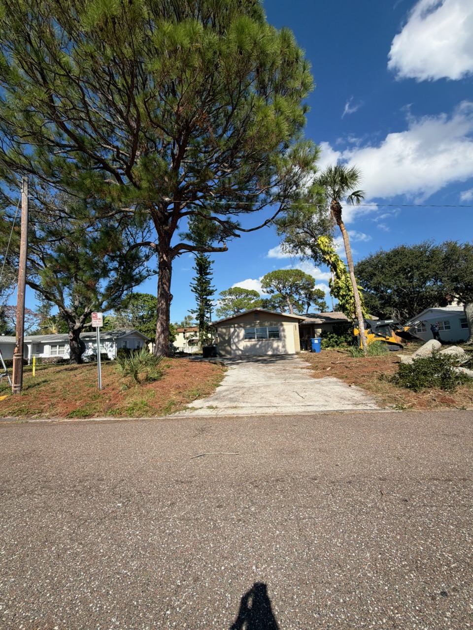 Floridian Tree Care Client Provided (1)