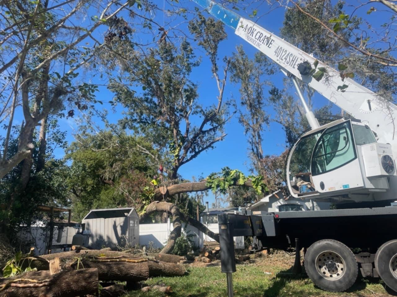 Floridian Tree Care Client Provided (4)