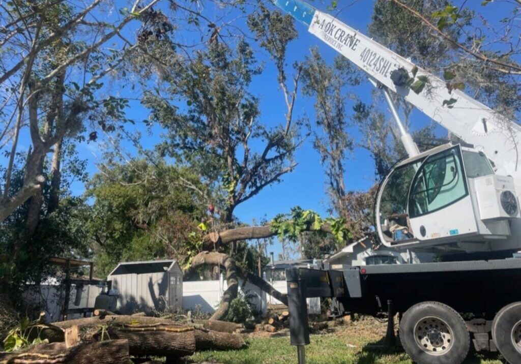 Floridian Tree Care Client Provided (4)